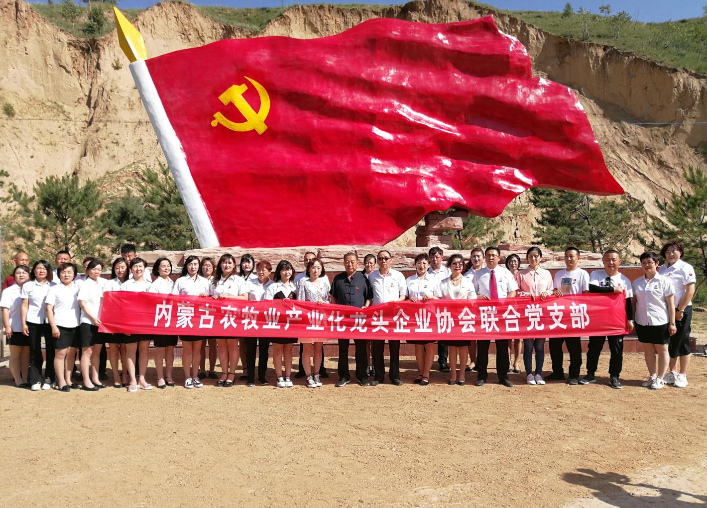內(nèi)蒙古農(nóng)牧業(yè)產(chǎn)業(yè)化龍頭企業(yè)協(xié)會走進石人灣村開展“辦實事、解難題，送溫暖，傳黨恩”公益活動